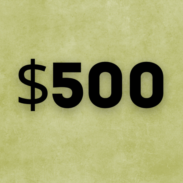 500 Dollar Donation for the Israel Relief Project Drone Support